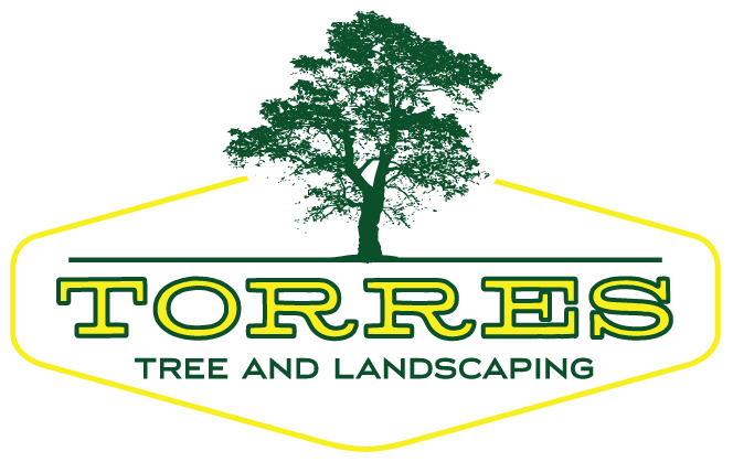 Torres Tree and Landscaping